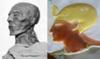 Seti son of Ramses I, became pharaoh 1320 BC